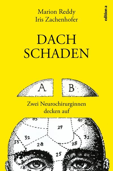 Produktbild: Dachschaden