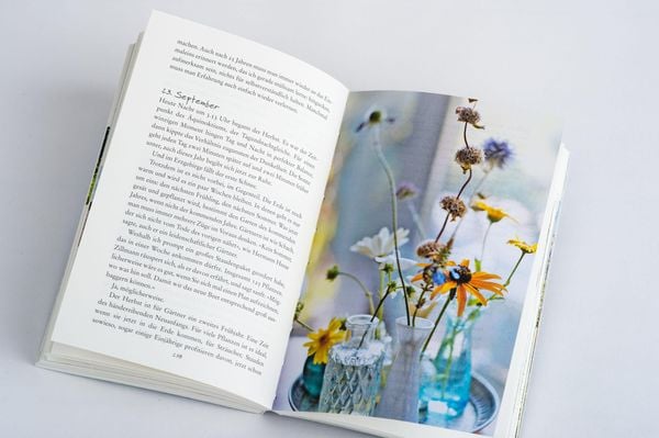 Produktbild: Bin im Garten