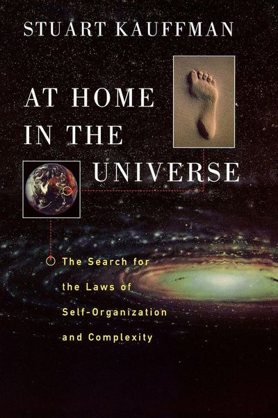 Produktbild: At Home in the Universe