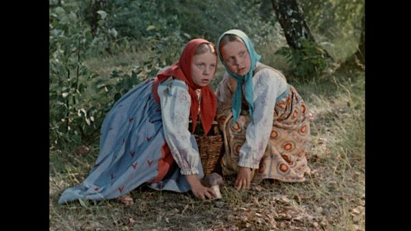 Produktbild: V&auml;terchen Frost - Abenteuer im Zauberwald (Filmjuwelen / DEFA-M&auml;rchen)