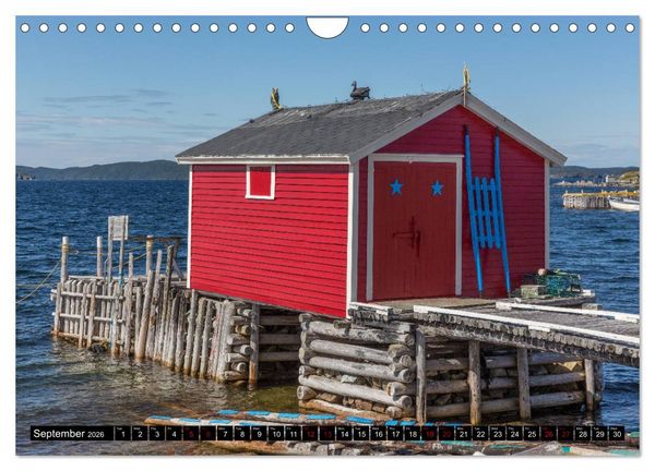 Produktbild: Island of Newfoundland (Wall Calendar 2026 DIN A4 landscape), CALVENDO 12 Month Wall Calendar
