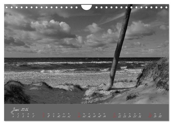 Produktbild: Wege zum Meer (Wandkalender 2026 DIN A4 quer), CALVENDO Monatskalender