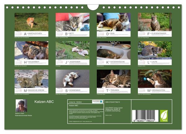 Produktbild: Katzen ABC (Wandkalender 2026 DIN A4 quer), CALVENDO Monatskalender