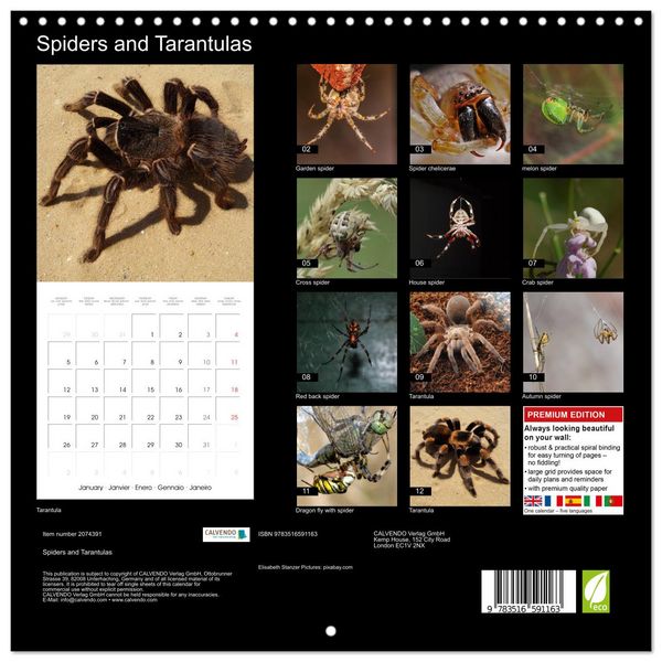Produktbild: Spiders and Tarantulas (Wall Calendar 2026 12 &times; 12 Inch) CALVENDO 12 Month Wall Calendar