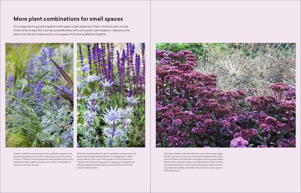 Produktbild: The Modern Cottage Garden