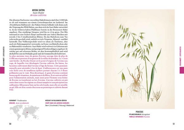 Produktbild: Botanica 2025