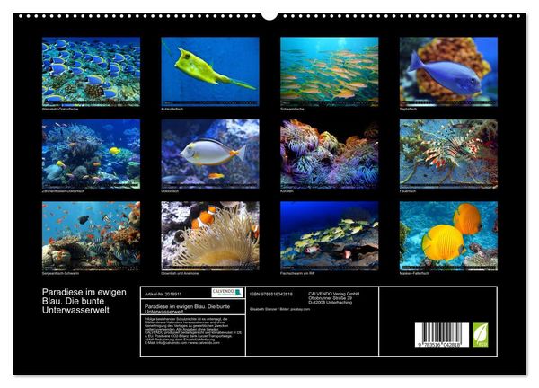 Produktbild: Paradiese im ewigen Blau. Die bunte Unterwasserwelt (hochwertiger Premium Wandkalender 2026 DIN A2 quer), Kunstdruck in Hochglanz
