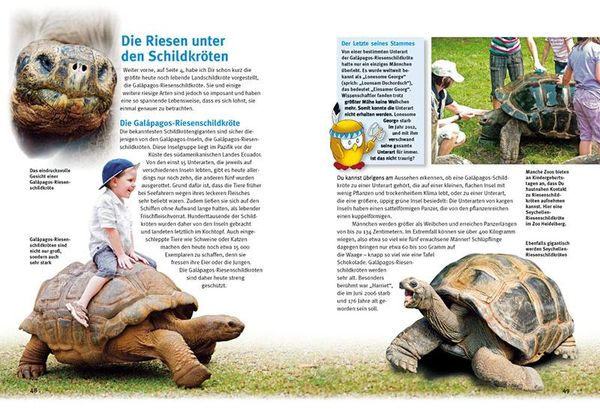 Produktbild: Entdecke die Schildkr&ouml;ten