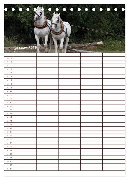 Produktbild: Der Kaltblut-Familienplaner (Tischkalender 2026 DIN A5 hoch), CALVENDO Monatskalender