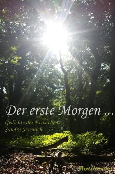 Der erste Morgen ..., Taschenbuch von Sandra Sevenich, Epubli, 9783745024487