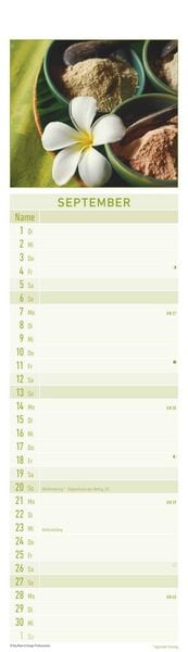Produktbild: Streifenplaner Mini Zen 2026 - Streifen-Kalender 9,5x33 cm - Harmonie und Achtsamkeit - Wandplaner - Küchenkalender - Alpha Edition