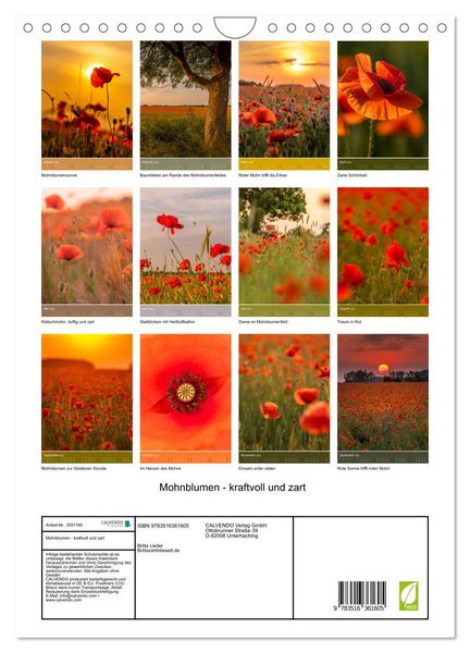 Produktbild: Mohnblumen - kraftvoll und zart (Wandkalender 2026 DIN A4 hoch), CALVENDO Monatskalender