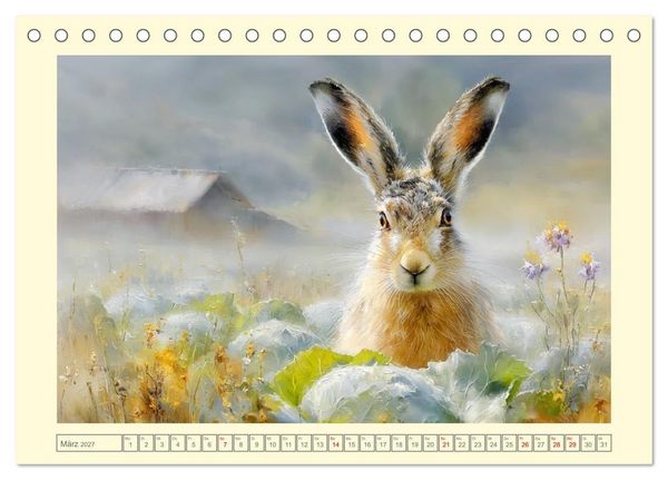 Produktbild: Wildhasen. Meister der Tarnung in offener Feldflur (Tischkalender 2027 DIN A5 quer), CALVENDO Monatskalender