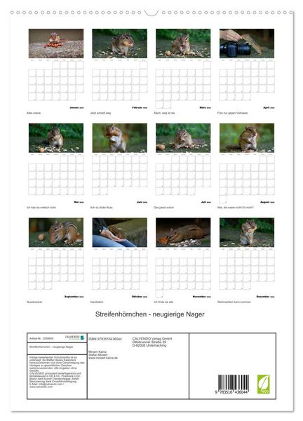 Produktbild: Streifenh&ouml;rnchen - neugierige Nager (hochwertiger Premium Wandkalender 2026 DIN A2 hoch), Kunstdruck in Hochglanz