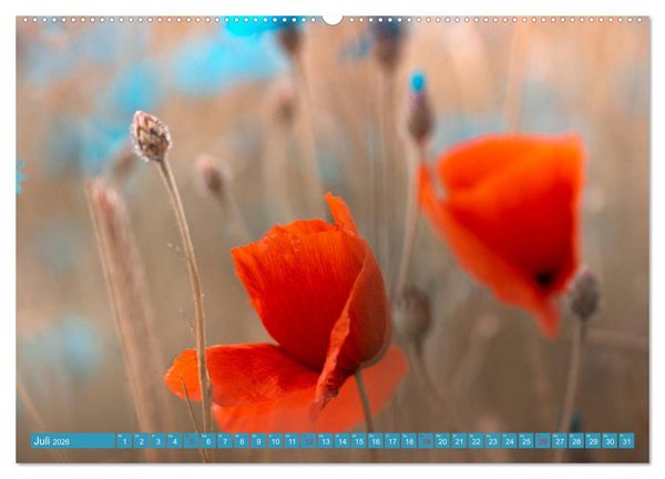 Produktbild: Mohnblumen - Fotografie mit Magie (hochwertiger Premium Wandkalender 2026 DIN A2 quer), Kunstdruck in Hochglanz