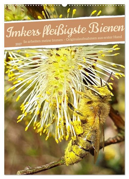 Produktbild: Imkers flei&szlig;igste Bienen - So arbeiten meine Immen &ndash; Originalaufnahmen aus erster Hand (Wandkalender 2027 DIN A2 hoch), CALVENDO Monatskalender