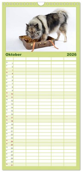 Produktbild: Familienplaner 2026 - Der Wolfsspitz mit 5 Spalten (Wandkalender, 21 x 45 cm) CALVENDO