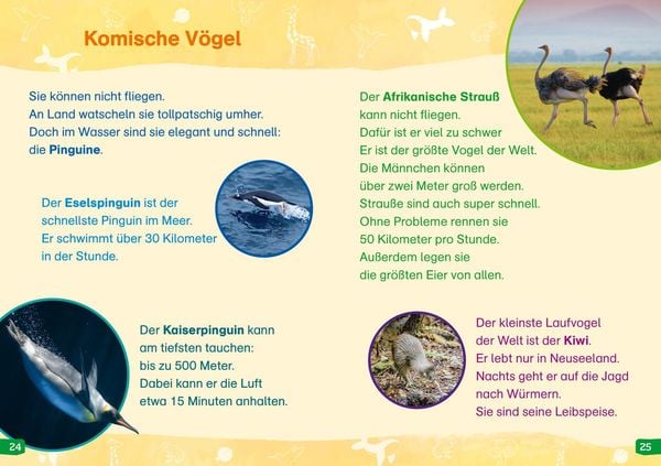 Produktbild: WAS IST WAS Erstes Lesen easy! Band 19. Tierische Rekorde