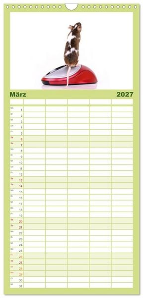 Produktbild: Familienplaner 2027 - S&uuml;&szlig;e M&auml;use und Coole Ratten mit 5 Spalten (Wandkalender, 21 x 45 cm) CALVENDO
