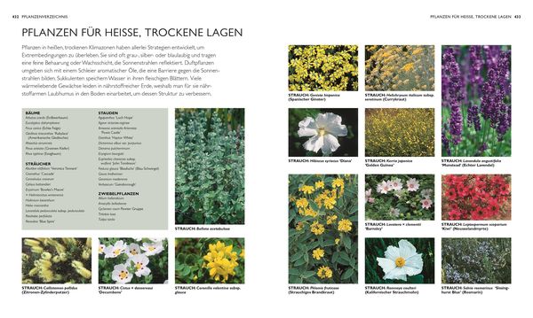 Produktbild: Die neue Gartenschule