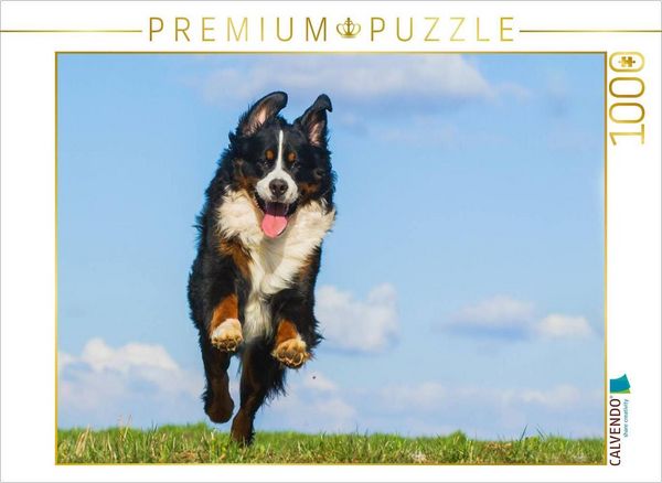 Produktbild: CALVENDO Puzzle Berner Sennenhund Merlin | 1000 Teile Lege-Gr&ouml;&szlig;e 64x48cm Foto-Puzzle f&uuml;r gl&uuml;ckliche Stunden