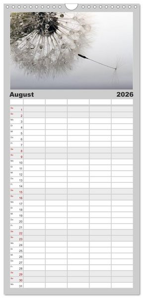Produktbild: Familienplaner 2026 - Filigrane Pusteblumen / Geburtstagskalender mit 5 Spalten (Wandkalender, 21 x 45 cm) CALVENDO