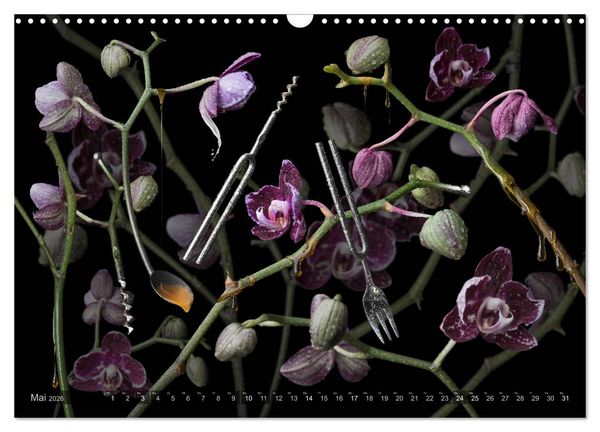 Produktbild: Musica fant&aacute;sia - Die wundersame Welt des Fotok&uuml;nstlers Olaf Bruhn (Wandkalender 2026 DIN A3 quer), CALVENDO Monatskalender