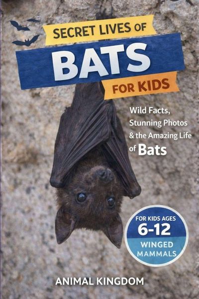Produktbild: Secret Lives of Bats for Kids