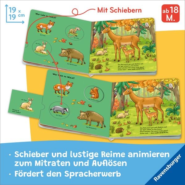 Produktbild: Nanu? Passt das dazu? Tiere
