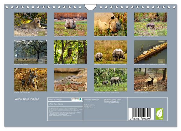 Produktbild: Wilde Tiere Indiens (Wandkalender 2026 DIN A4 quer), CALVENDO Monatskalender
