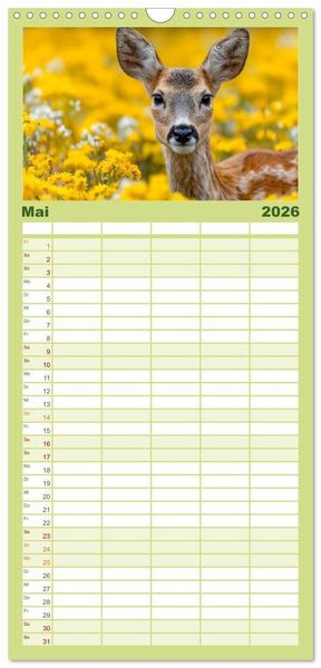 Produktbild: Familienplaner 2026 - HIRSCHE UND REHE - Ein Jahr in freier Wildbahn mit 5 Spalten (Wandkalender, 21 x 45 cm) CALVENDO