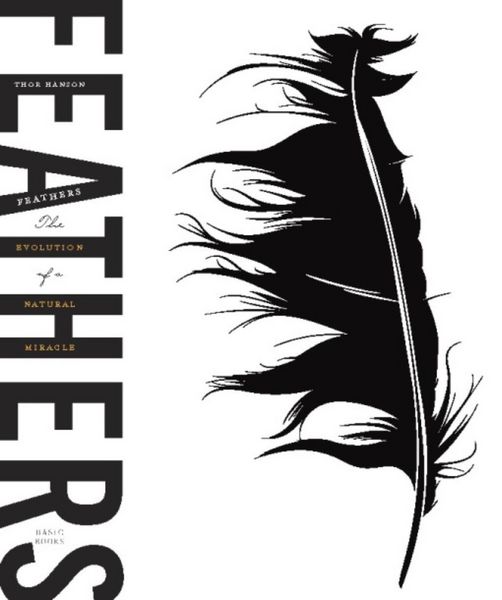 Produktbild: Feathers