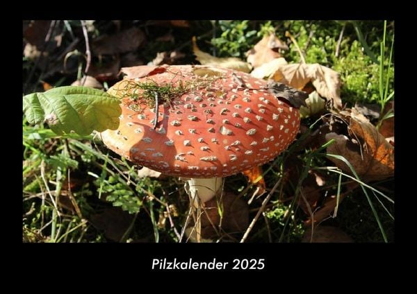 Produktbild: Pilzkalender 2025 Fotokalender DIN A3