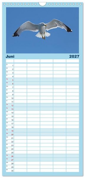 Produktbild: Familienplaner 2027 - V&ouml;gel im Flug - Akrobaten der L&uuml;fte mit 5 Spalten (Wandkalender, 21 x 45 cm) CALVENDO