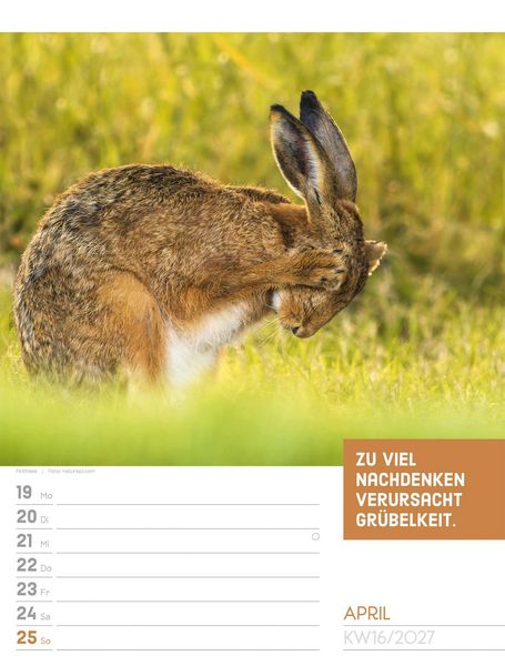 Produktbild: Tierisch Spr&uuml;chekalender Wochenplaner 2027
