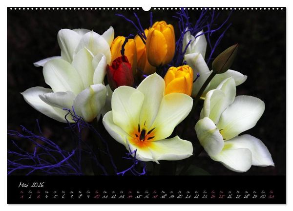 Produktbild: Soul-Jazz - Visuelle Musik der Blumen (Wandkalender 2026 DIN A2 quer), CALVENDO Monatskalender