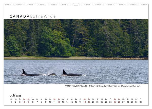 Produktbild: Vancouver Island Panoramabilder (Wandkalender 2026 DIN A2 quer), CALVENDO Monatskalender