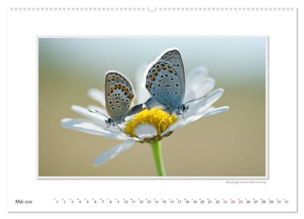 Produktbild: Emotionale Momente: Tierischer Sex. (Wandkalender 2026 DIN A2 quer), CALVENDO Monatskalender