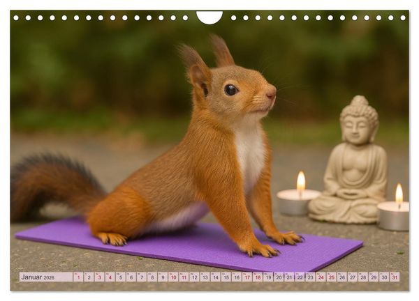 Produktbild: Die geheime Welt der Eichh&ouml;rnchen (Wandkalender 2026 DIN A4 quer), CALVENDO Monatskalender