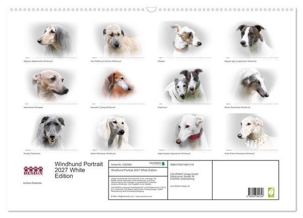 Produktbild: Windhund Portrait 2027 White Edition (Wandkalender 2027 DIN A2 quer), CALVENDO Monatskalender