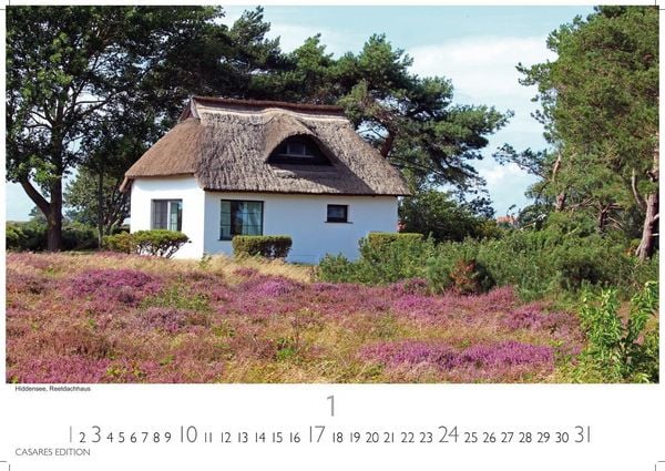 Produktbild: R&uuml;gen Kalender 2027 &ndash; Wandkalender | Fotokalender Deutschland 35x50cm | in 12 faszinierenden Fotos &ndash; von K&uuml;stenromantik bis wildromantischer Inselnatur