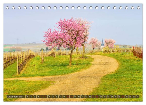 Produktbild: Mandelbl&uuml;tenzauber an der Deutschen Weinstra&szlig;e (Tischkalender 2026 DIN A5 quer), CALVENDO Monatskalender