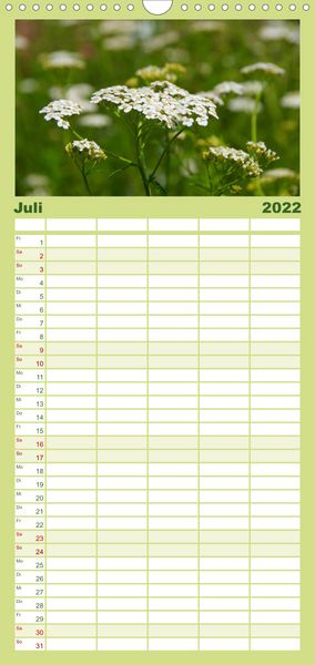 Produktbild: Familienplaner Arzneipflanzen (Wandkalender 2022 , 21 cm x 45 cm, hoch)