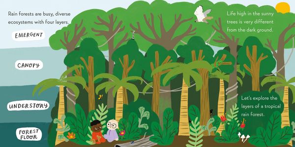 Produktbild: Nerdy Babies: Rain Forests