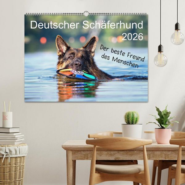 Produktbild: Deutscher Sch&auml;ferhund - Der beste Freund des Menschen (Wandkalender 2026 DIN A2 quer), CALVENDO Monatskalender