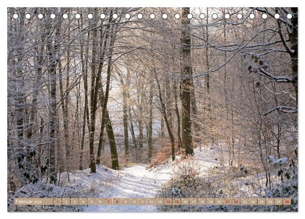 Produktbild: Der Wald - Ort der Ruhe und Besinnung (Tischkalender 2026 DIN A5 quer), CALVENDO Monatskalender