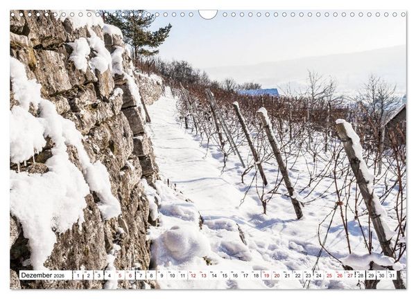 Produktbild: Weinberge um Jena (Wandkalender 2026 DIN A3 quer), CALVENDO Monatskalender