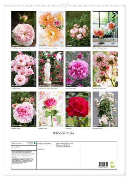 Produktbild: Sch&ouml;nste Rosen (Wandkalender 2026 DIN A2 hoch), CALVENDO Monatskalender