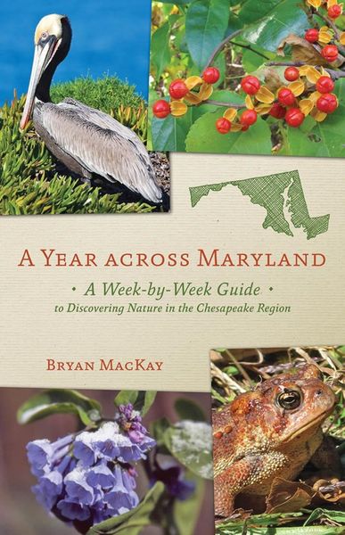 Produktbild: Year across Maryland