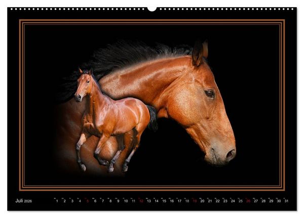 Produktbild: Traumpferde-ART-Collection (Wandkalender 2026 DIN A2 quer), CALVENDO Monatskalender